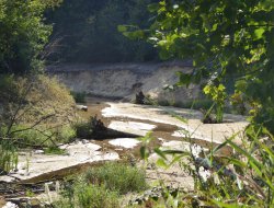 kompaniewanderung 202441